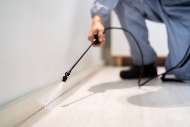 Licensed Fumigation Services service in Jurupa Valley, CA - Nex Pest Control