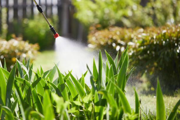 24/7 Emergency Fumigation Services experts in Jurupa Valley, CA