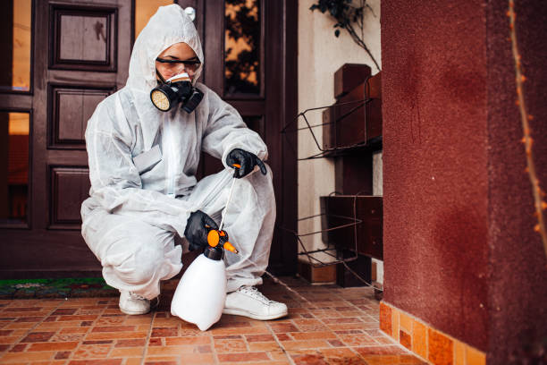 Reliable Fumigation Services contractor in Jurupa Valley, CA by Nex Pest Control