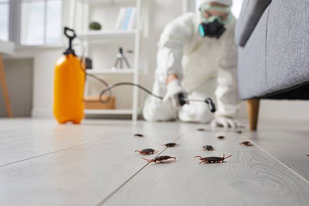 Trusted Fumigation Services service in Jurupa Valley, CA - Nex Pest Control